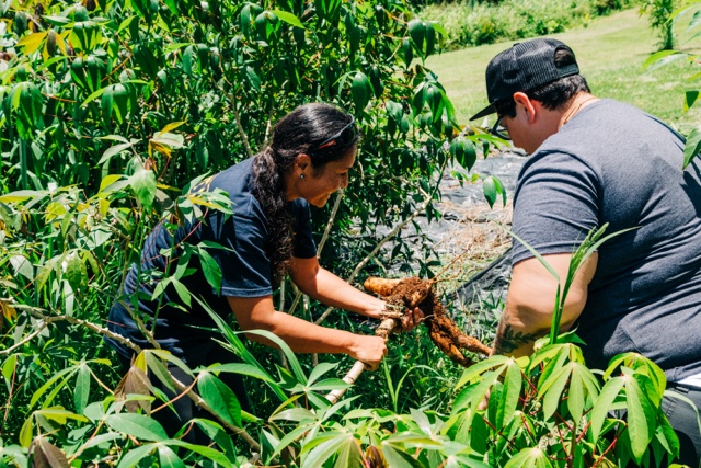 ph cash casino login